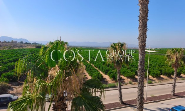 Resale - Villa -
Algorfa - La Finca Golf Resort