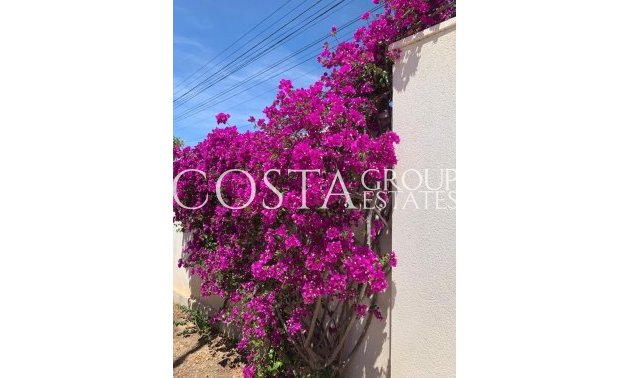 Resale - House -
Rojales - Ciudad Quesada