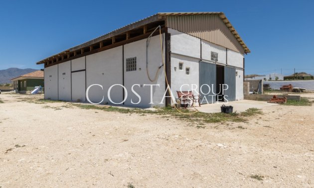 Revente - Villa -
Jumilla - Torre del Rico