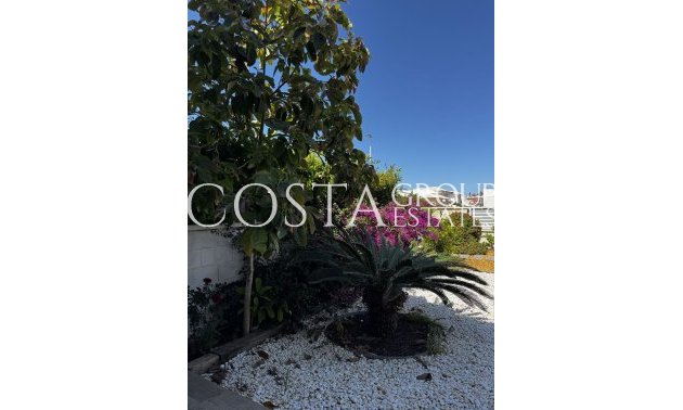 Resale - Apartments -
Torrevieja - Torrevieja Centro