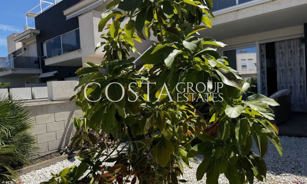 Resale - Apartments -
Torrevieja - Torrevieja Centro