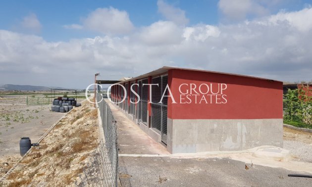 Odsprzedaż - Willa -
Los Montesinos - Los Montesinos Centro
