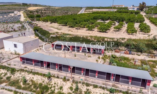 Odsprzedaż - Willa -
Los Montesinos - Los Montesinos Centro