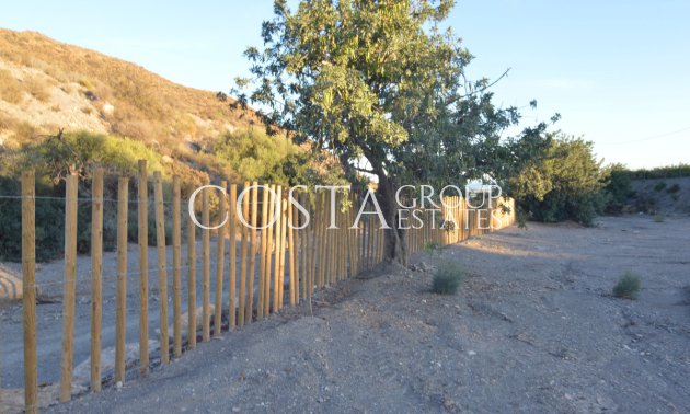 Resale - Villa -
San Javier - Las Palomas