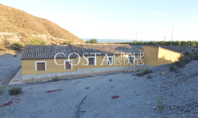Resale - Villa -
San Javier - Las Palomas