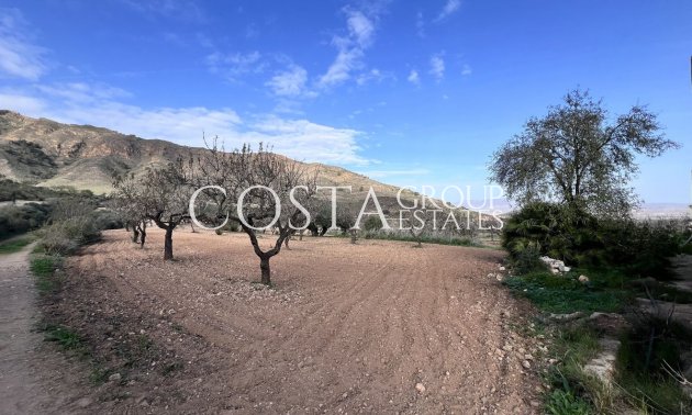 Resale - Villa -
Mazarrón - El Margajón