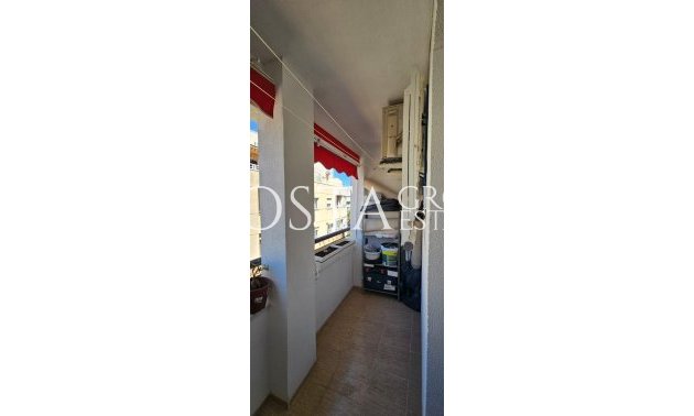 Odsprzedaż - Apartments -
Torrevieja - Torrevieja Centro