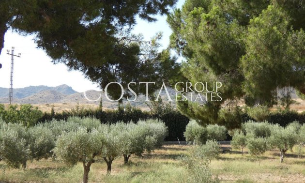 Resale - Villa -
Mazarrón - La Atalaya