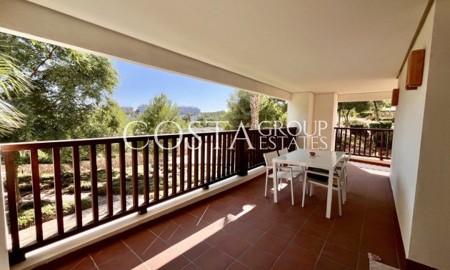 Resale - Apartments -
San Miguel de Salinas - San Miguel de Salinas Centro