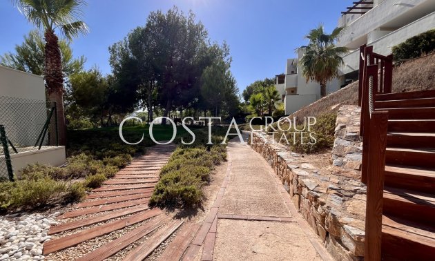 Resale - Apartments -
San Miguel de Salinas - San Miguel de Salinas Centro