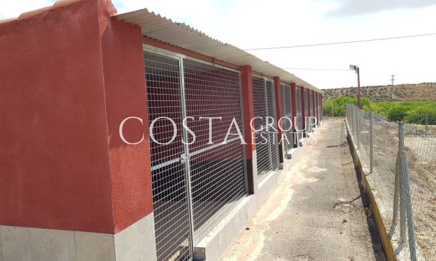 Resale - Villa -
Los Montesinos - Los Montesinos Centro