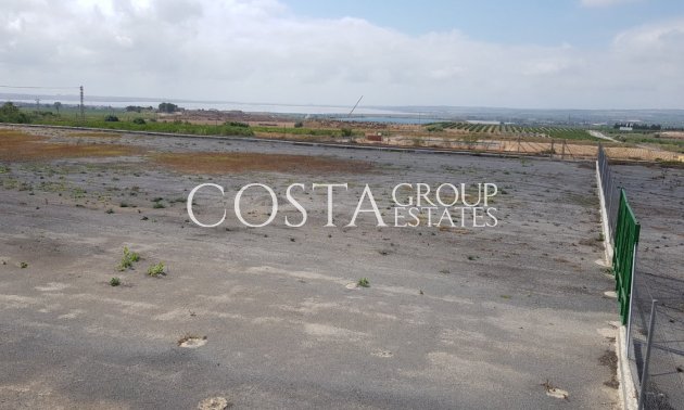 Resale - Villa -
Los Montesinos - Los Montesinos Centro