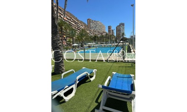 Resale - Apartments -
Alicante - Alicante Centro