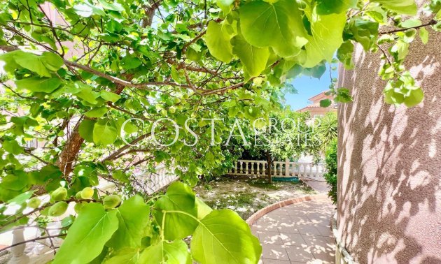 Resale - House -
Torrevieja - Torrevieja Centro