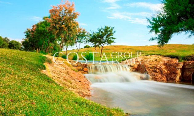 New Build - Villa -
Pilar de la Horadada - Lo Romero Golf