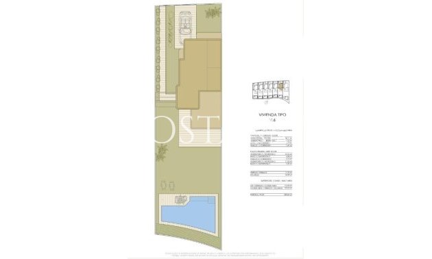 New Build - Villa -
Pilar de la Horadada - Lo Romero Golf