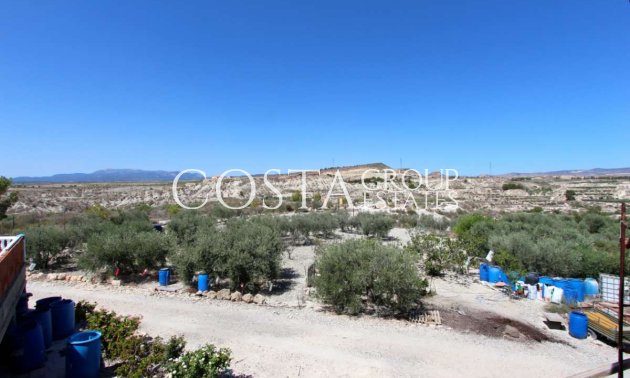 Wiederverkauf - Villa -
Albudeite