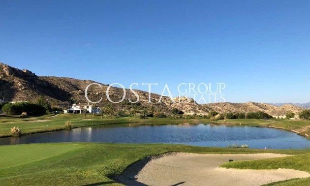 Nouvelle construction - Apartments -
Monforte del Cid