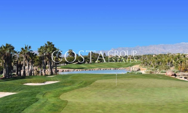 New Build - Villa -
Cuevas del Almanzora - Villaricos