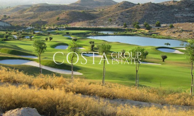 Nieuwbouw Woningen - Villa -
Monforte del Cid