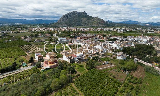 New Build - Villa -
Els Poblets - Partida Barranquets