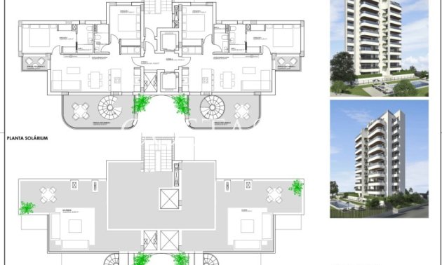 Nieuwbouw Woningen - Apartments -
Guardamar del Segura