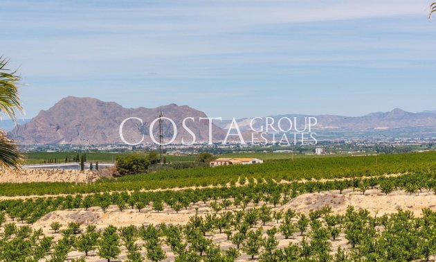 Resale - Villa -
Algorfa - Algorfa Centro