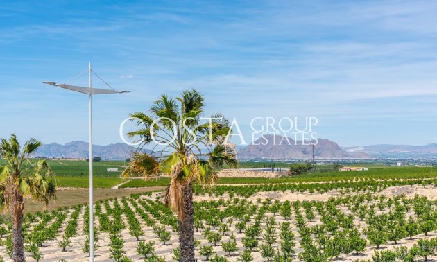 Resale - Villa -
Algorfa - Algorfa Centro