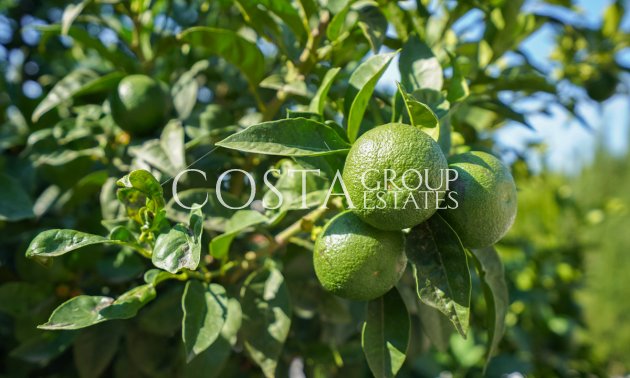 Resale - Villa -
Benissa - Benissa Centro