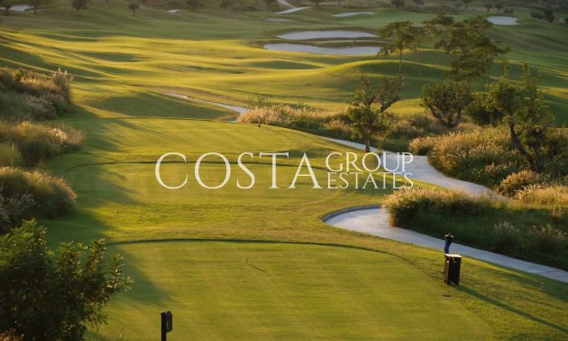 New Build - Apartments -
Monforte del Cid