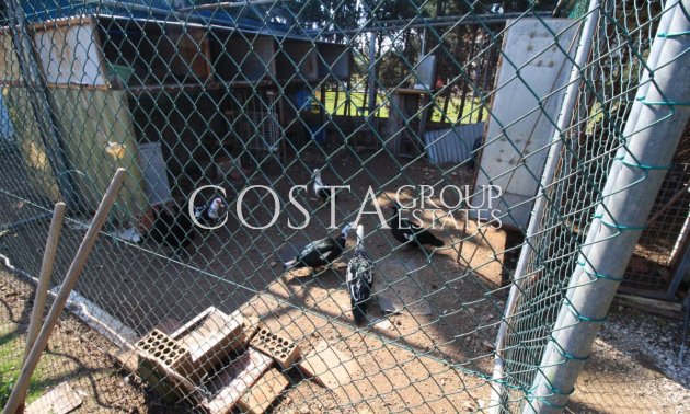 Resale - House -
Orihuela - Orihuela Costa