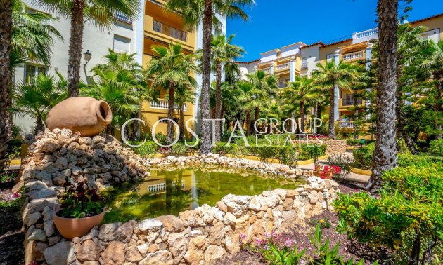 Resale - Apartments -
Torrevieja - Torrevieja Centro