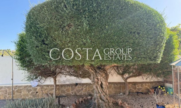 Resale - Villa -
San Miguel de Salinas - San Miguel de Salinas Centro