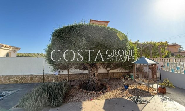 Resale - Villa -
San Miguel de Salinas - San Miguel de Salinas Centro