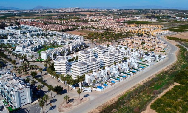New Build - Apartments -
Guardamar del Segura - El Raso