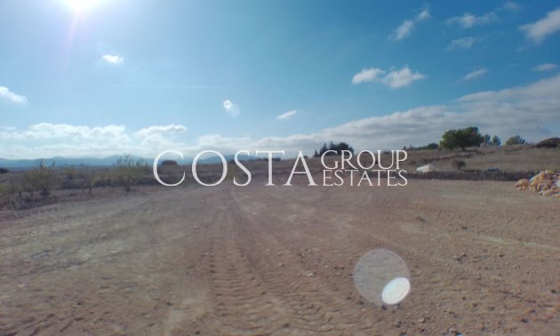 Resale - Villa -
Pinoso - Pinoso Centro