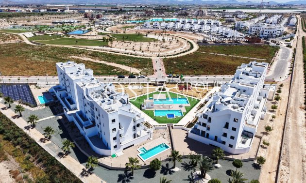 Nouvelle construction - Apartments -
Torre-Pacheco