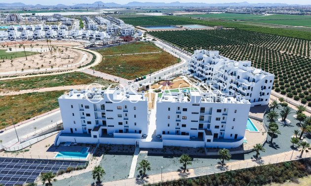 Nouvelle construction - Apartments -
Torre-Pacheco