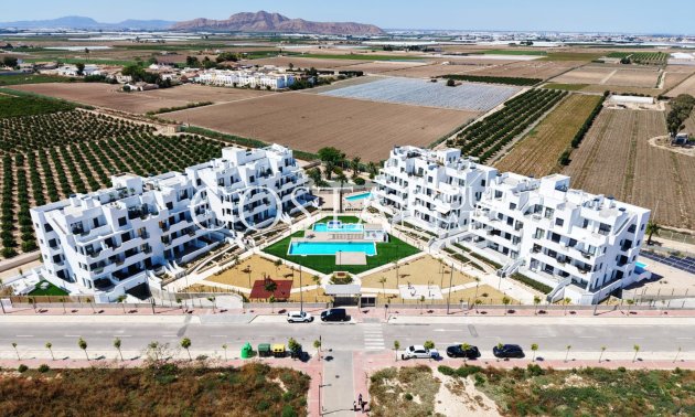 Nouvelle construction - Apartments -
Torre-Pacheco