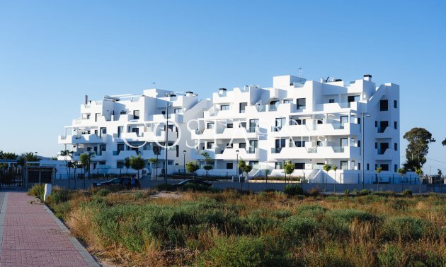 Nouvelle construction - Apartments -
Torre-Pacheco