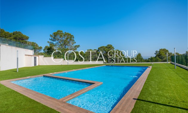 Neue Gebäude - Apartments -
San Miguel de Salinas - San Miguel De Salinas