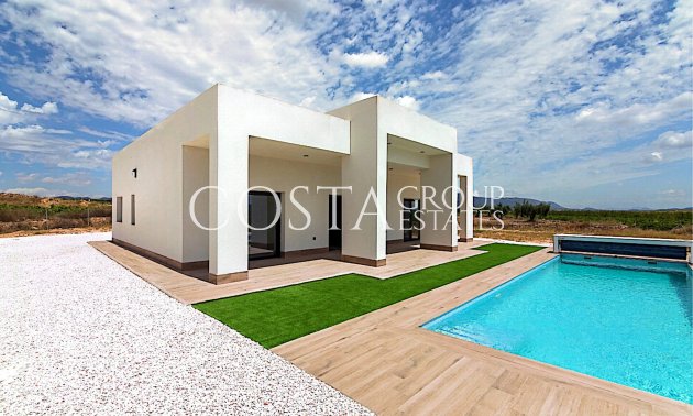 Nouvelle construction - Villa -
Pinoso