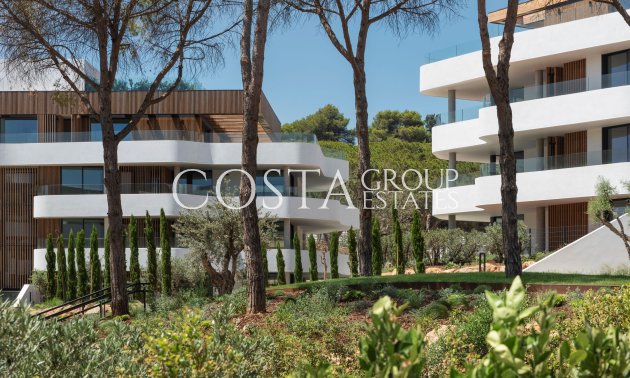 Nouvelle construction - Apartments -
Pueblo Nuevo