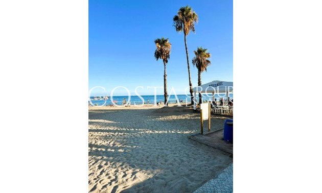 Resale - Apartments -
Torrevieja - Torrevieja Centro