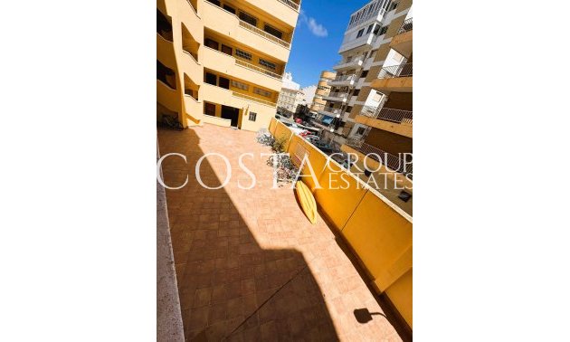 Resale - Apartments -
Torrevieja - Torrevieja Centro