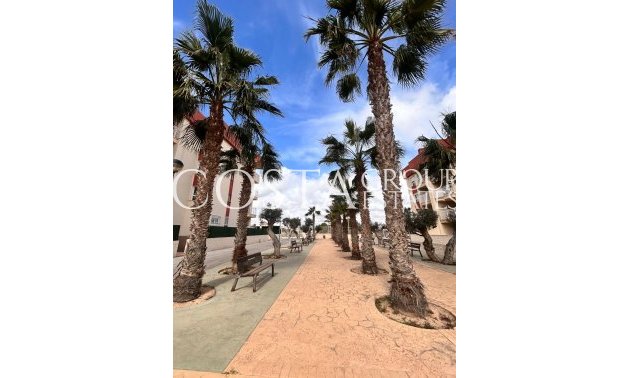 Neue Gebäude - Apartments -
Orihuela Costa - Orihuela