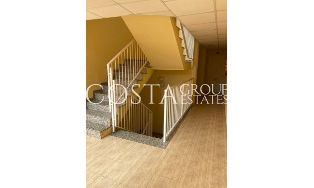 Resale - Apartments -
San Miguel de Salinas - San Miguel de Salinas Centro