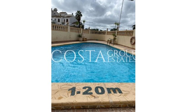 Resale - Apartments -
San Miguel de Salinas - San Miguel de Salinas Centro