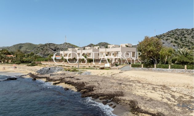 New Build - Villa -
Cuevas Del Almanzora - Cala Panizo