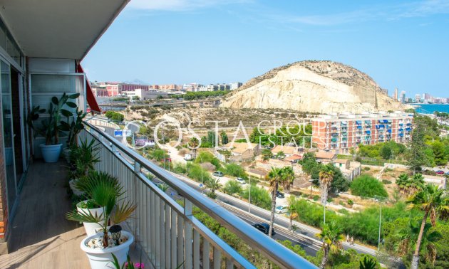 Resale - Apartments -
Alicante - Alicante Centro